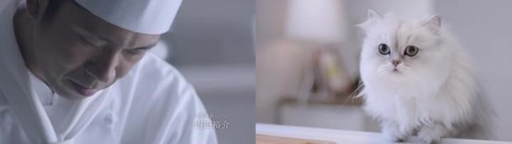 ネスレ日本株式会社のプレスリリース画像10