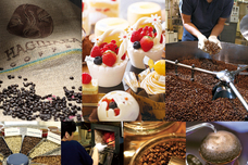 ホテルピエナ神戸のプレスリリース