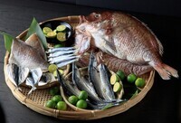 株式会社ゲイトのプレスリリース画像4