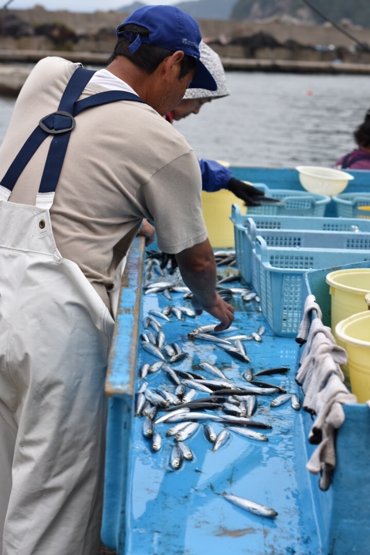 株式会社ゲイトのプレスリリース画像1