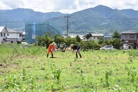 株式会社ゲイトのプレスリリース画像5