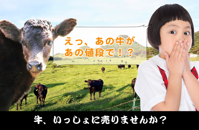 村おこしNPO法人ECOFFのプレスリリース画像1