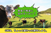 村おこしNPO法人ECOFFのプレスリリース