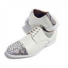 BajoLugoのプレスリリース画像2