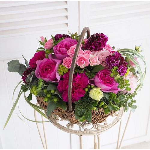 株式会社Ucaのプレスリリース画像1