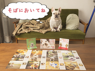 うめのみprojectのプレスリリース