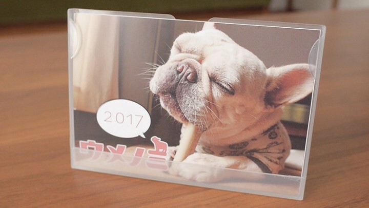 うめのみprojectのプレスリリース画像1