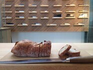 株式会社タダフサのプレスリリース画像1