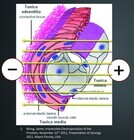 桜の花出版のプレスリリース画像7