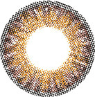 グッドデイ株式会社のプレスリリース画像2