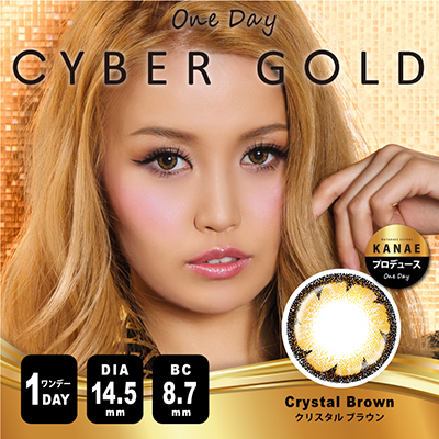 グッドデイ株式会社のプレスリリース画像2