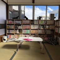 ねこりんのプレスリリース