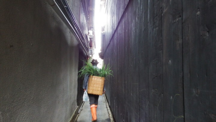 特定非営利活動法人　地域と自然のプレスリリース画像2