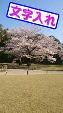 浜田 明志のプレスリリース