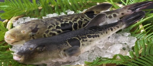 大東企業株式会社のプレスリリース画像2