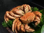 大東企業株式会社のプレスリリース画像3