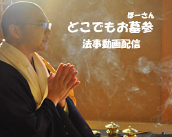 幸巡株式会社のプレスリリース画像1