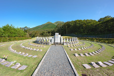 幸巡株式会社のプレスリリース画像6