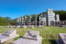 幸巡株式会社のプレスリリース画像3