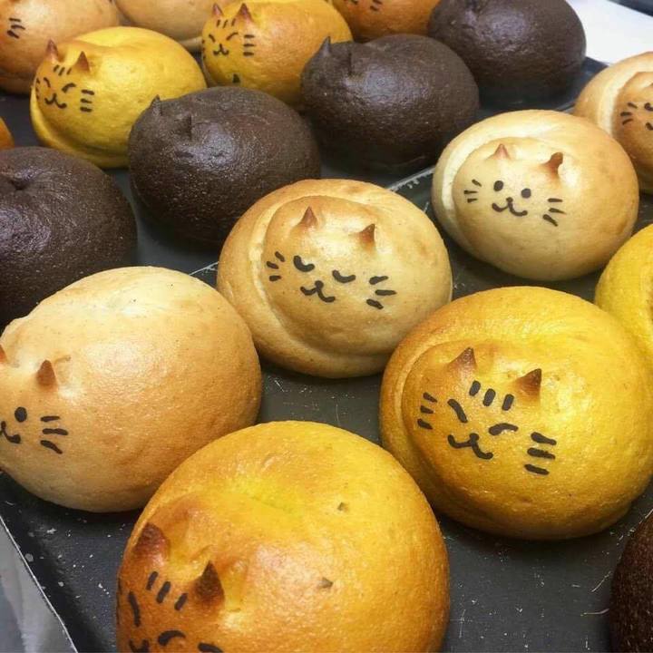 一般財団法人ちよだニャンとなる会のプレスリリース画像2