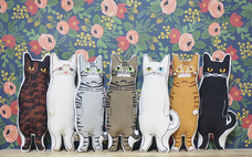 一般財団法人ちよだニャンとなる会のプレスリリース画像5