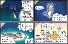 一般財団法人ちよだニャンとなる会のプレスリリース画像1