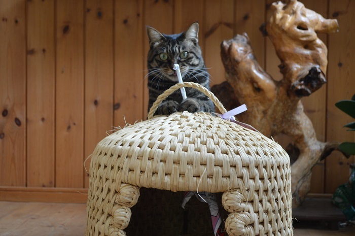 株式会社FARM8のプレスリリース画像3