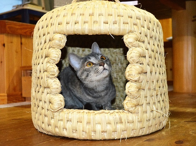 株式会社FARM8のプレスリリース画像1