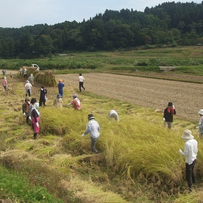 株式会社FARM8のプレスリリース画像1