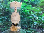 株式会社FARM8のプレスリリース画像1