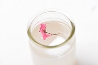 株式会社FARM8のプレスリリース画像1