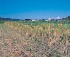 株式会社FARM8のプレスリリース画像2