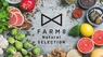 株式会社FARM8のプレスリリース7
