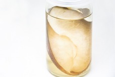 株式会社FARM8のプレスリリース画像2