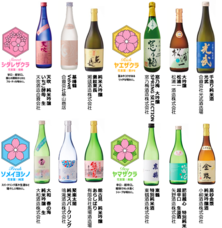 株式会社アフロ＆コーのプレスリリース画像6