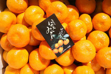 株式会社アフロ＆コーのプレスリリース画像10