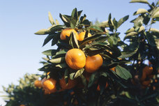 株式会社アフロ＆コーのプレスリリース画像10