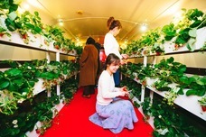 株式会社アフロ＆コーのプレスリリース画像3