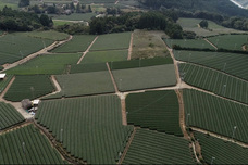 株式会社アフロ＆コーのプレスリリース画像4