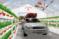 株式会社アフロ＆コーのプレスリリース画像2