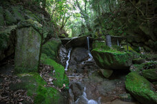 株式会社アフロ＆コーのプレスリリース画像7