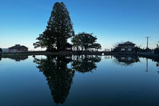 株式会社アフロ＆コーのプレスリリース画像6