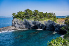 株式会社アフロ＆コーのプレスリリース画像5