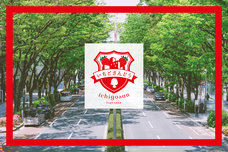 株式会社アフロ＆コーのプレスリリース画像7