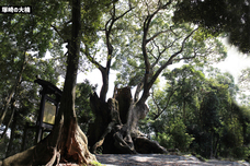 株式会社アフロ＆コーのプレスリリース画像9