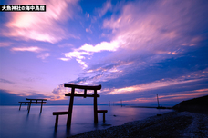 株式会社アフロ＆コーのプレスリリース画像8