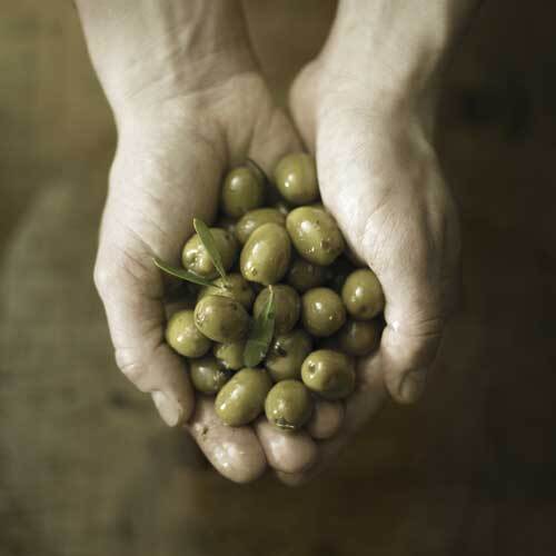 株式会社エッセンスのプレスリリース画像8