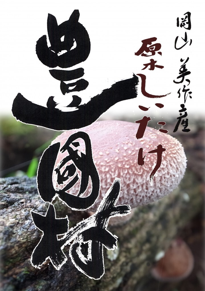 豊國村のプレスリリース画像1