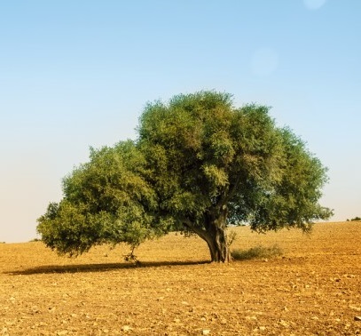 メルヴィータジャポン株式会社のプレスリリース画像5