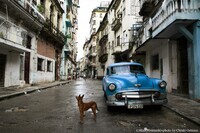 #PASSPORT BOOKのプレスリリース画像4